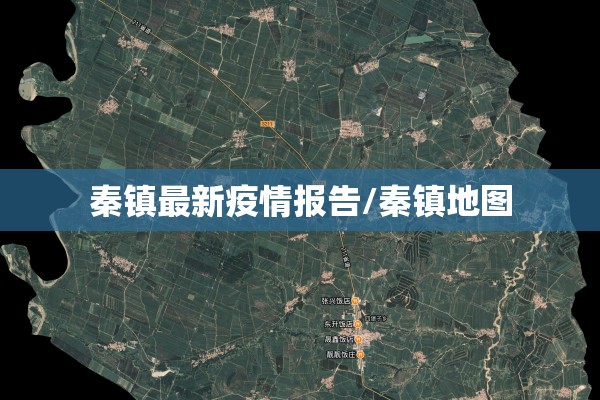 秦镇最新疫情报告/秦镇地图