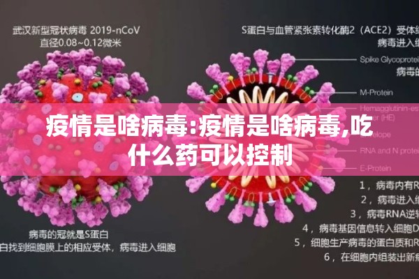 【期货大豆油价格行情/大豆油期货今天走势】