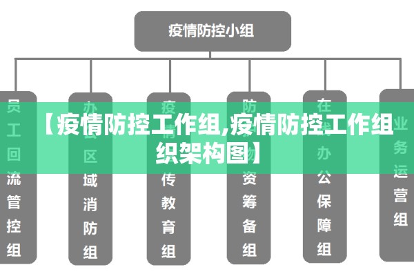 【疫情防控工作组,疫情防控工作组织架构图】 【疫情防控工作组,疫情防控工作组织架构图】