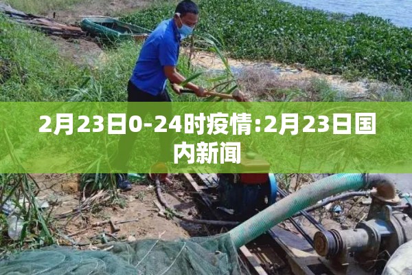 金属期货市场行情走势/金属期货市场行情走势最新