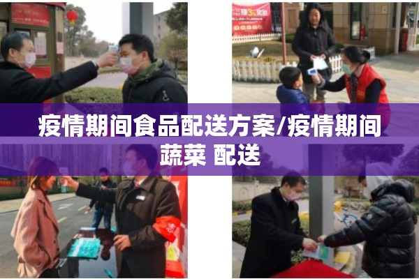 疫情期间食品配送方案/疫情期间蔬菜 配送