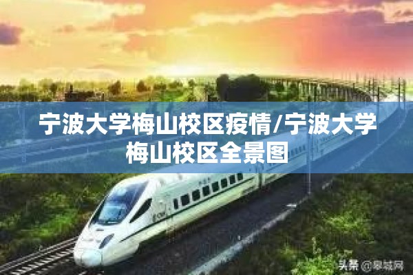 宁波大学梅山校区疫情/宁波大学梅山校区全景图