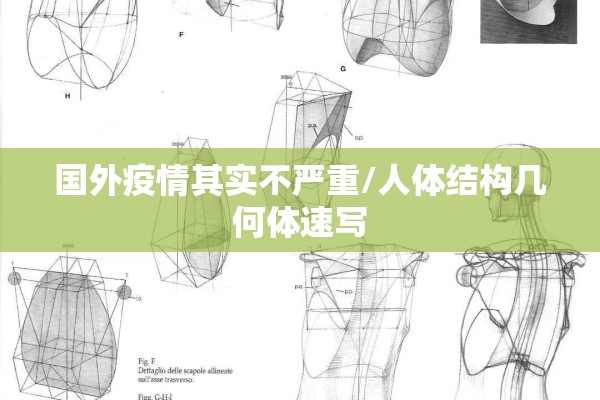 期货行情历史数据接口/历史期货大行情