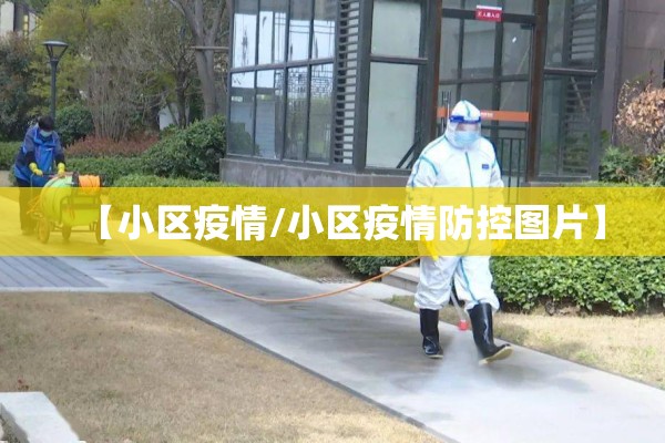 美国白银期货预测行情（美国COMEX白银期货实时行情走势分析）