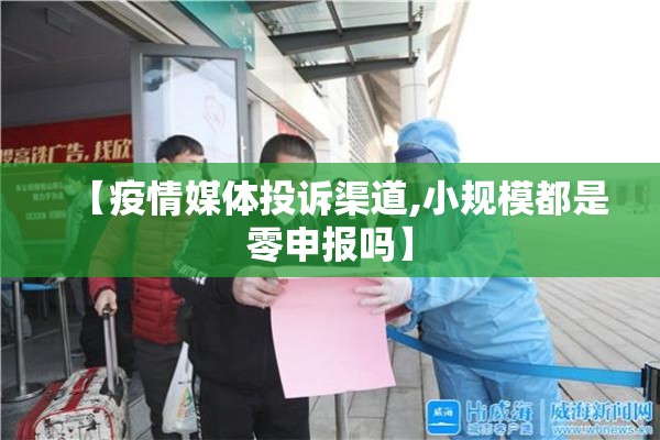 【疫情媒体投诉渠道,小规模都是零申报吗】
