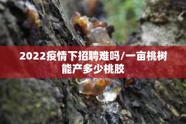 葱期货行情/洋葱期货价格行情