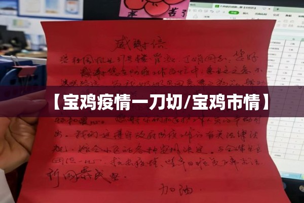 【宝鸡疫情一刀切/宝鸡市情】