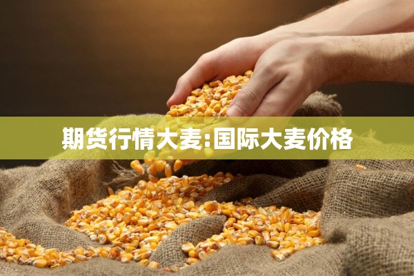 期货行情大麦:国际大麦价格