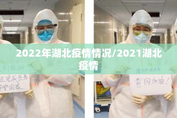 2022年湖北疫情情况/2021湖北疫情