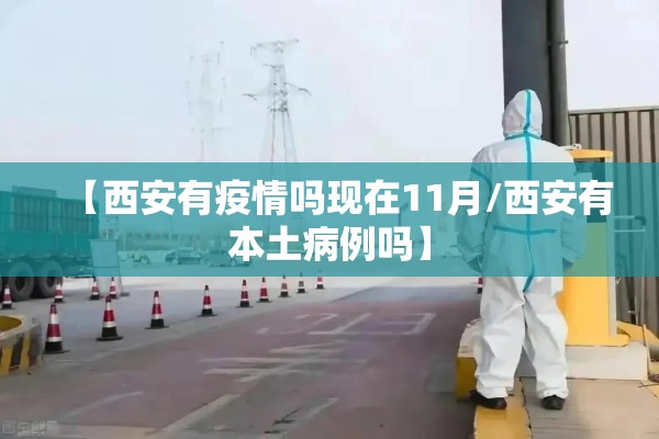 【西安有疫情吗现在11月/西安有本土病例吗】