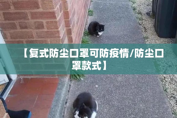 【复式防尘口罩可防疫情/防尘口罩款式】