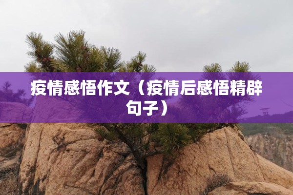 疫情感悟作文（疫情后感悟精辟句子）