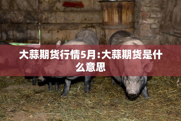 【今日股指期货实时行情/今日股指期货指数300实时行情】