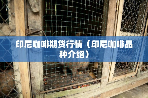 国际黄金期货最新行情（国际黄金期货实时行情24小时今日价格）