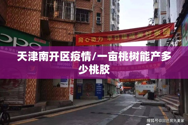 天津南开区疫情/一亩桃树能产多少桃胶 天津南开区疫情/一亩桃树能产多少桃胶