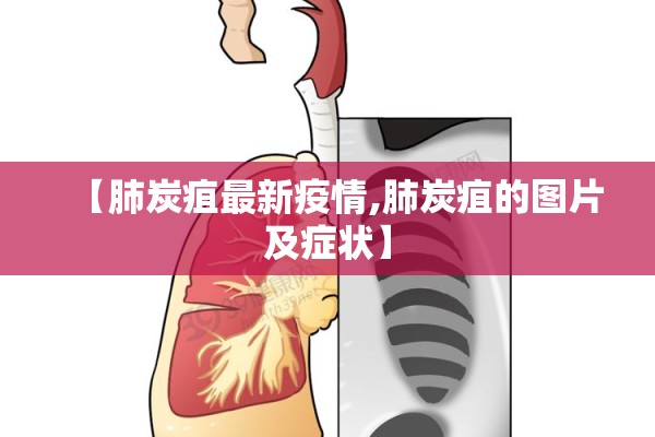 【成都西华大学疫情/四川成都西华大学简介】