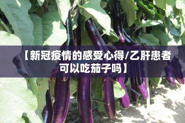 期货铁矿石2205行情/铁矿石期货二四零五