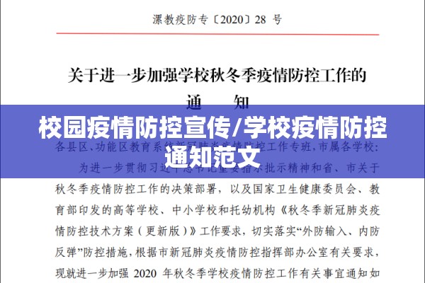 【苹果期货今日行情走势图/苹果期货最新行情】