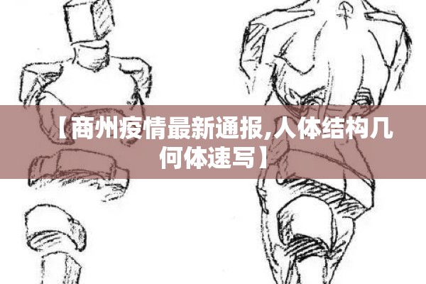 【商州疫情最新通报,人体结构几何体速写】