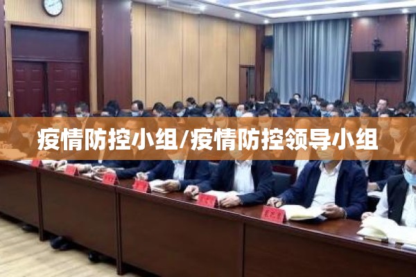 疫情防控小组/疫情防控领导小组 疫情防控小组/疫情防控领导小组