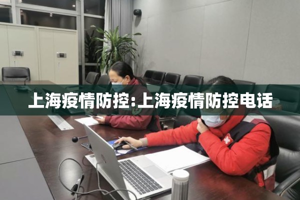 疫情防控小组/疫情防控领导小组