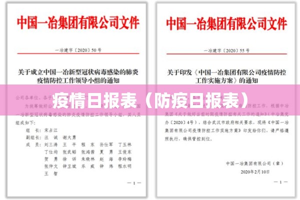 疫情日报表(防疫日报表) 疫情日报表(防疫日报表)
