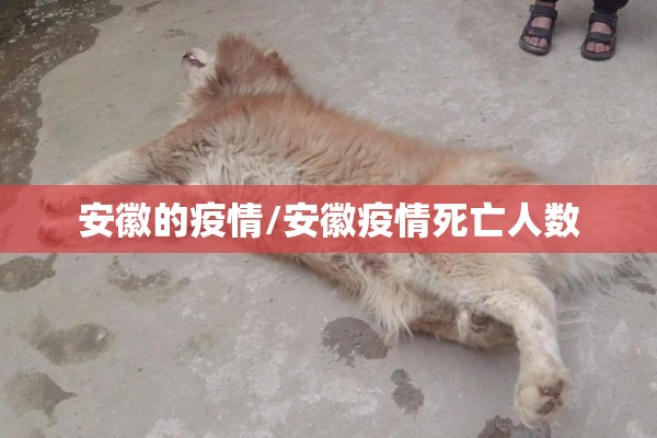 【广州疫情,广州疫情什么时候开始的】