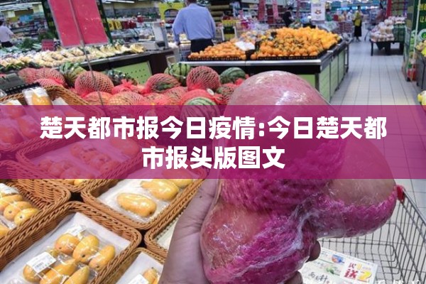 【疫情防控紧急预案版本/疫情应急处置】