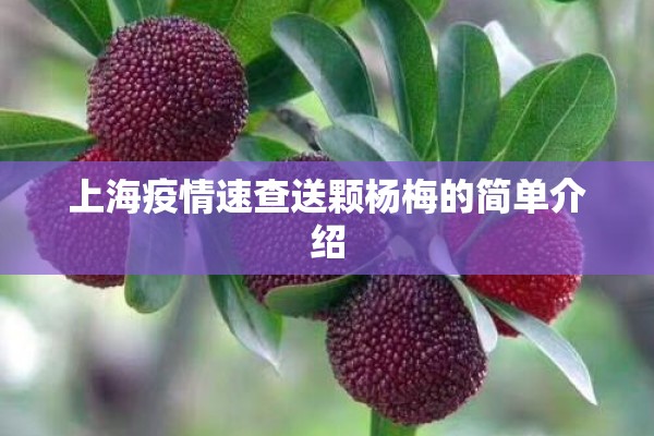 上海疫情速查送颗杨梅的简单介绍 上海疫情速查送颗杨梅的简单介绍