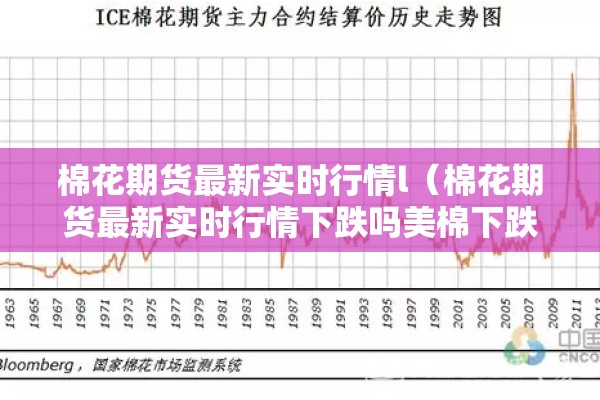 期货高手用指标看行情吗:期货常用指标使用技巧