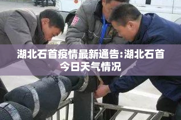 新西兰大豆期货实时行情（美国大豆期货行情新浪网）