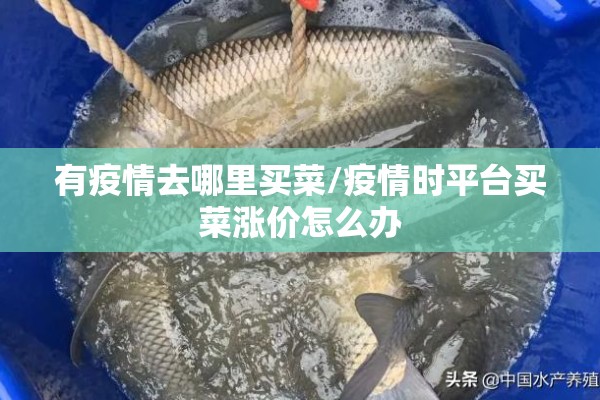 有疫情去哪里买菜/疫情时平台买菜涨价怎么办 有疫情去哪里买菜/疫情时平台买菜涨价怎么办