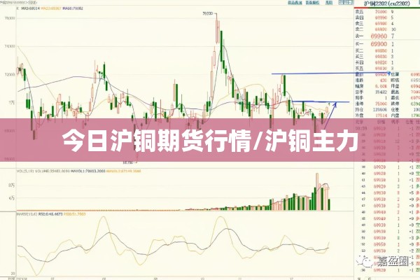 疫情资阳最新消息/资阳封路通告最新
