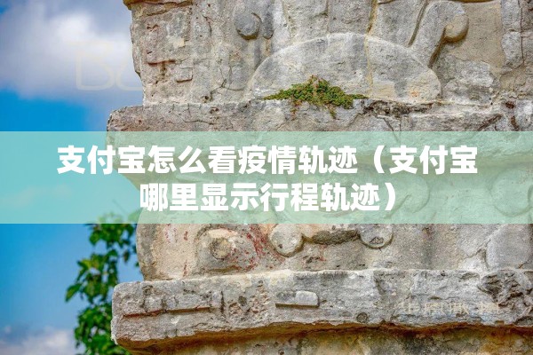 支付宝怎么看疫情轨迹（支付宝哪里显示行程轨迹）