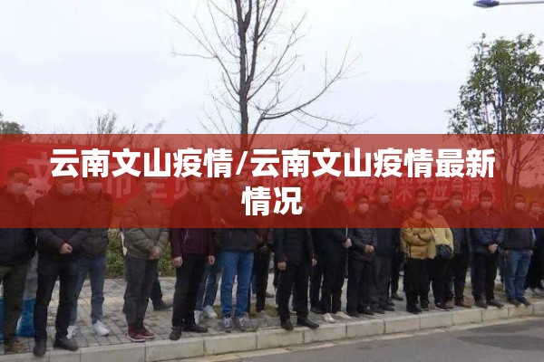 【2008年期货行情,2008年期货行情回顾】