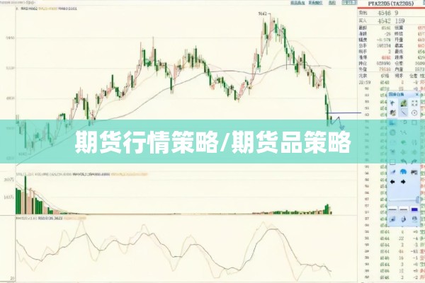 期货行情策略/期货品策略