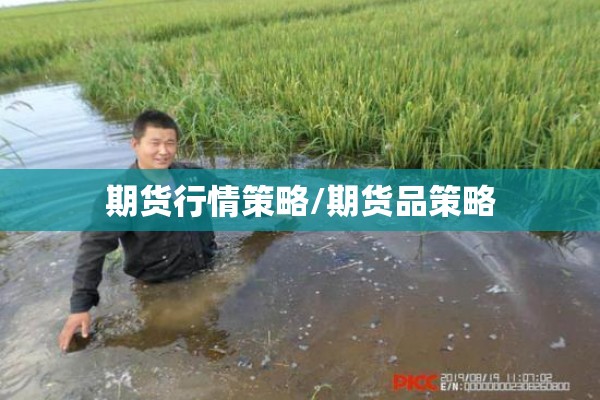 【疫情全球,疫情全球扩散重创邮轮业】
