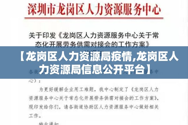 期货行情策略/期货品策略