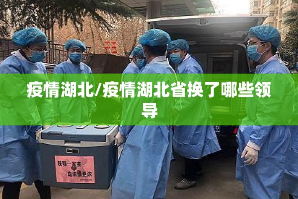 中国期货行情/中国期货行情在哪里看