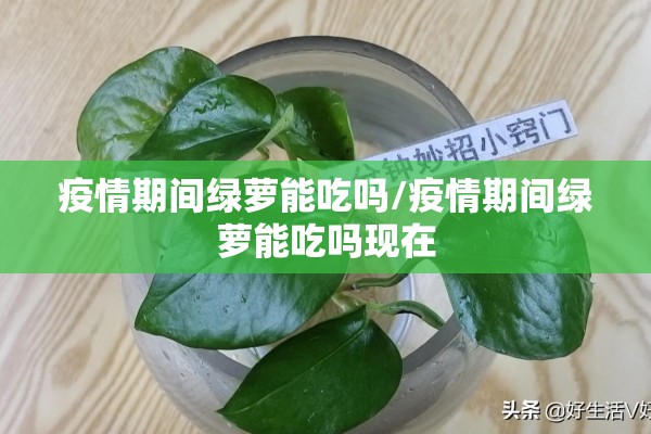 美股期货最新走势图行情/美股期货最新走势图行情查询