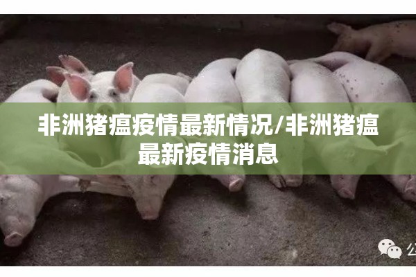 非洲猪瘟疫情最新情况/非洲猪瘟最新疫情消息 非洲猪瘟疫情最新情况/非洲猪瘟最新疫情消息