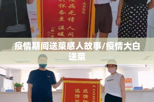 疫情期间送菜感人故事/疫情大白送菜 疫情期间送菜感人故事/疫情大白送菜