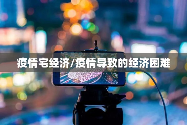 疫情宅经济/疫情导致的经济困难 疫情宅经济/疫情导致的经济困难