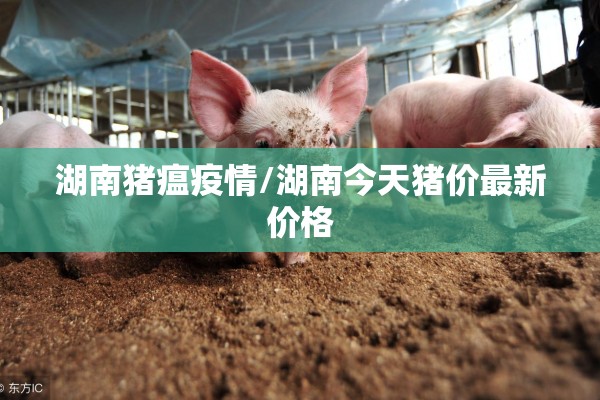 湖南猪瘟疫情/湖南今天猪价最新价格 湖南猪瘟疫情/湖南今天猪价最新价格