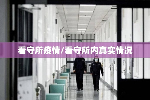 期货大行情合集怎么看/期货行情图怎么看