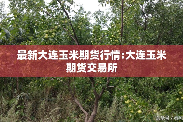最新大连玉米期货行情:大连玉米期货交易所