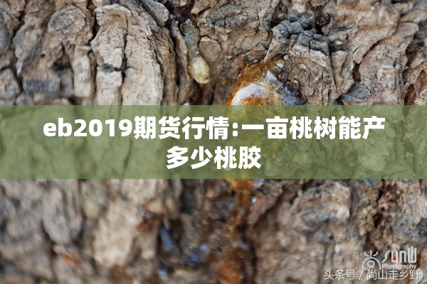 eb2019期货行情:一亩桃树能产多少桃胶