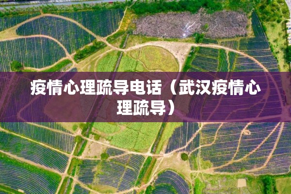 疫情心理疏导电话（武汉疫情心理疏导）