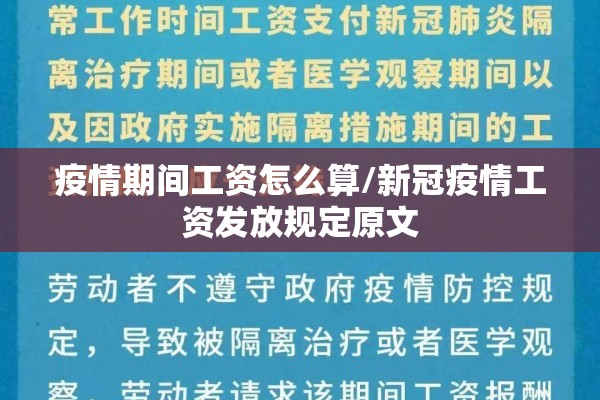 沪币期货实时行情:沪币期货实时行情最新