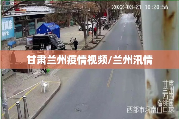 【在哪看期货连续行情,怎么查期货历史交易记录】